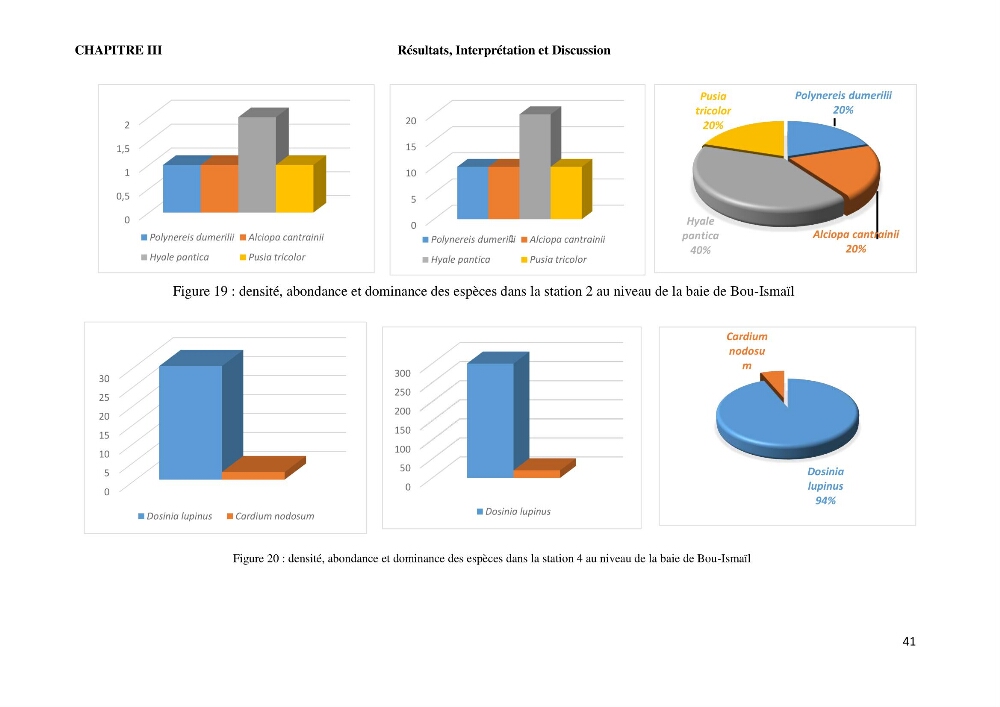 Caractérisation des biocenoces benthiques des côtes Algériennes: évolution et suivi