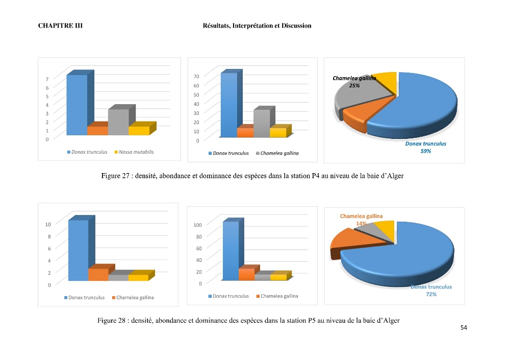 Caractérisation des biocenoces benthiques des côtes Algériennes: évolution et suivi
