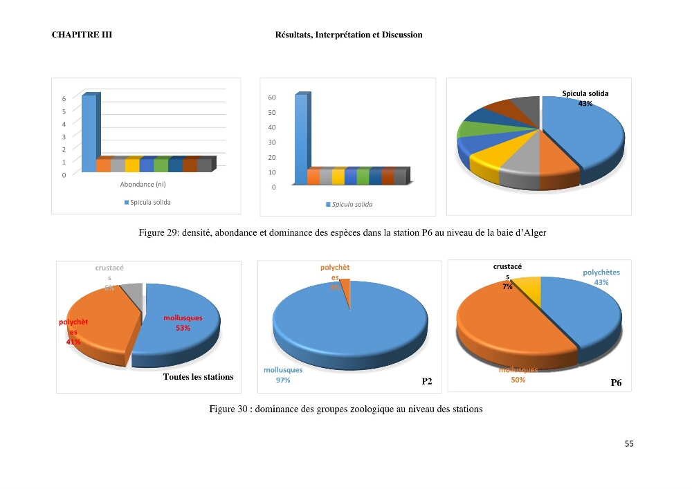 Caractérisation des biocenoces benthiques des côtes Algériennes: évolution et suivi