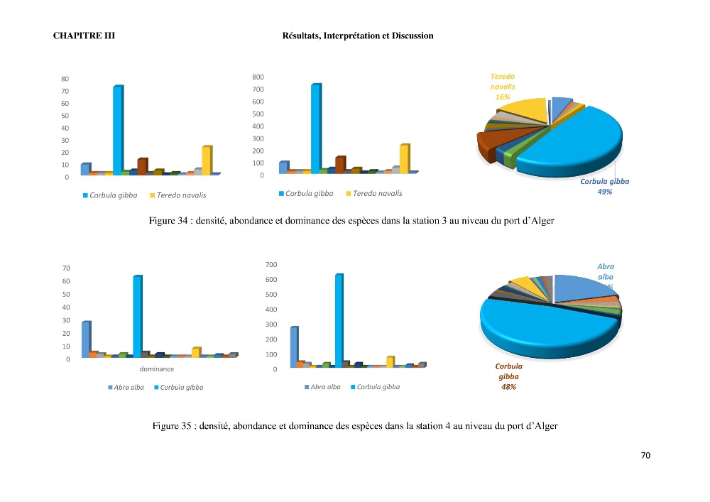 Caractérisation des biocenoces benthiques des côtes Algériennes: évolution et suivi