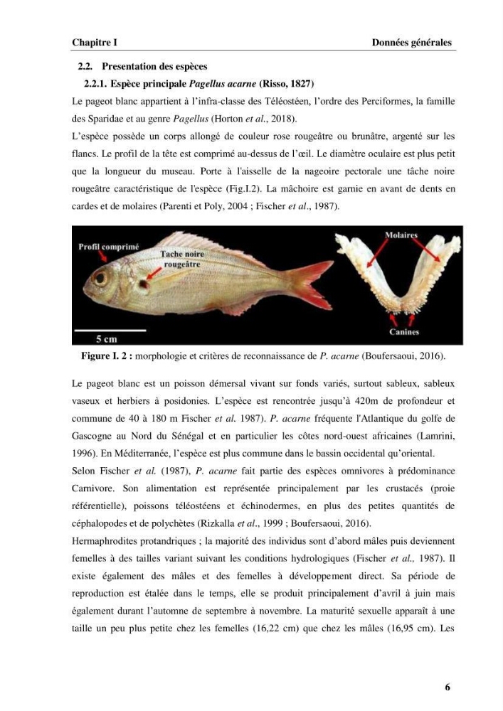 Elaboration d’un outil de simulation pour l’évaluation et de la gestion des pêcheries mixtes multi-flottille