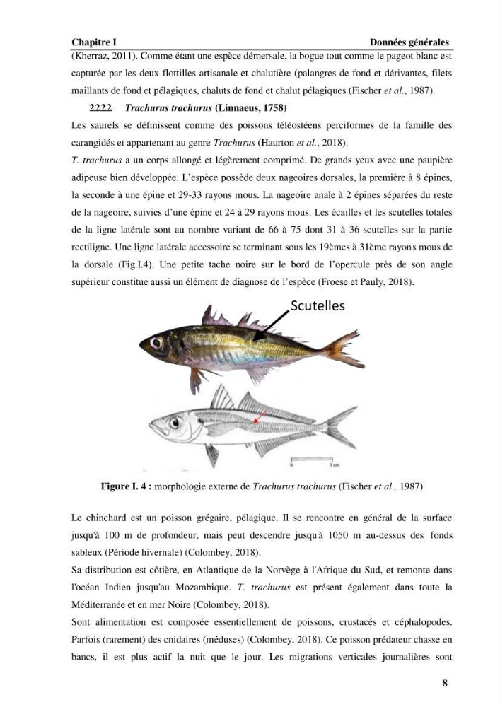 Elaboration d’un outil de simulation pour l’évaluation et de la gestion des pêcheries mixtes multi-flottille