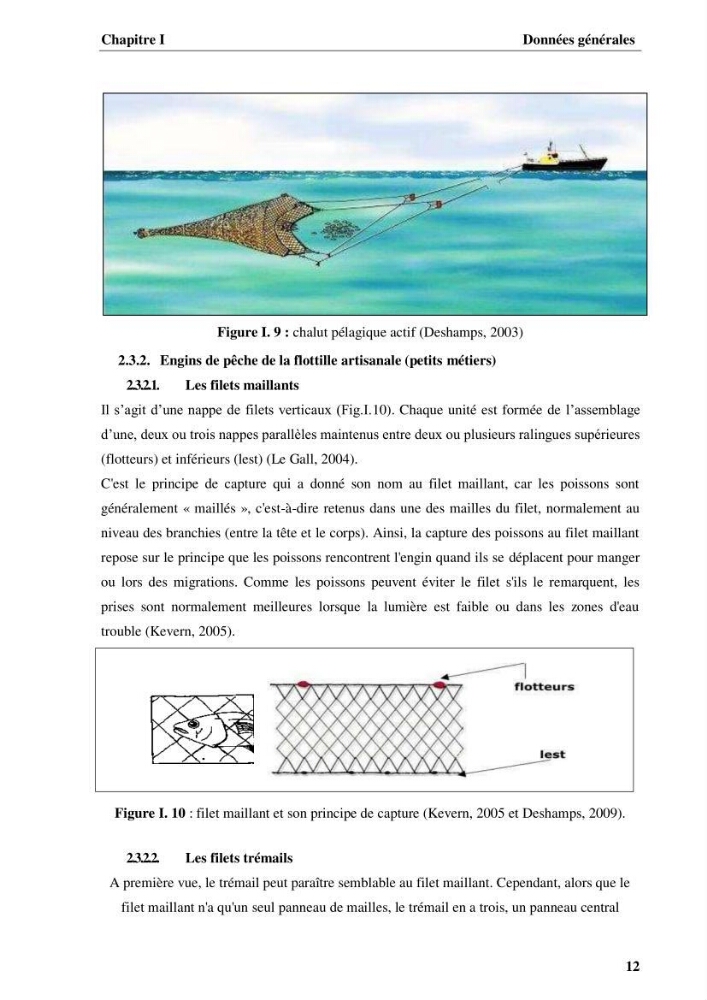 Elaboration d’un outil de simulation pour l’évaluation et de la gestion des pêcheries mixtes multi-flottille