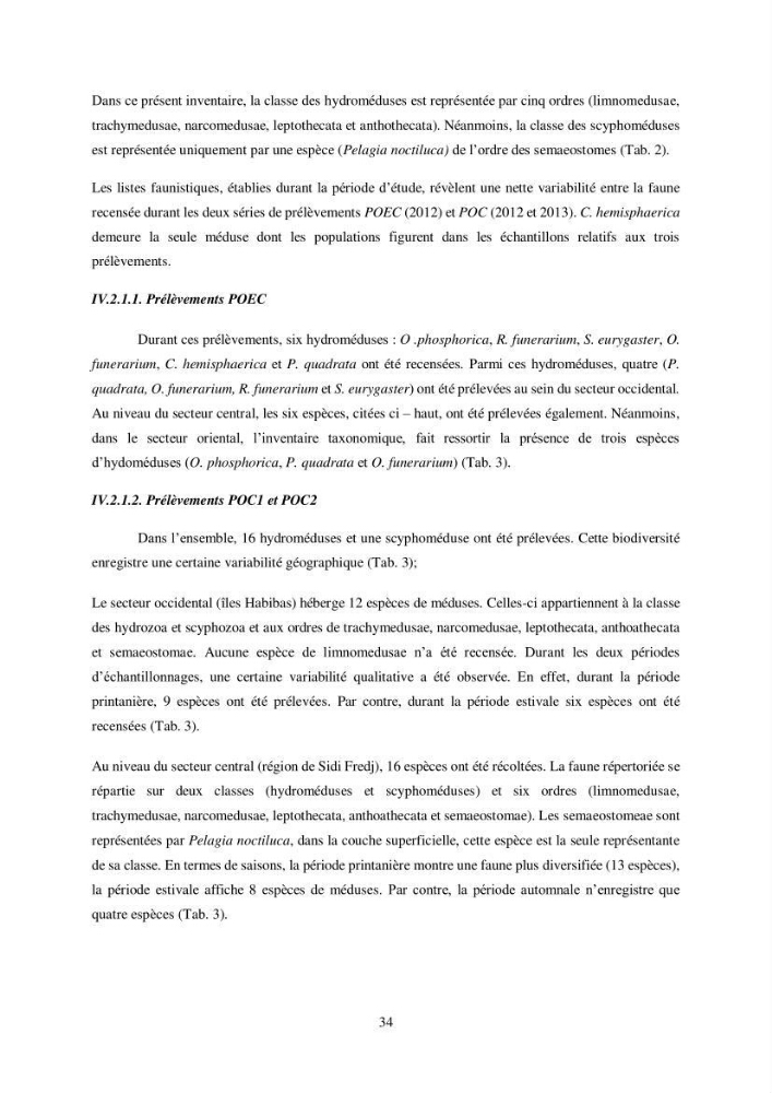 Peuplement de meduses des côtes Algeriennes