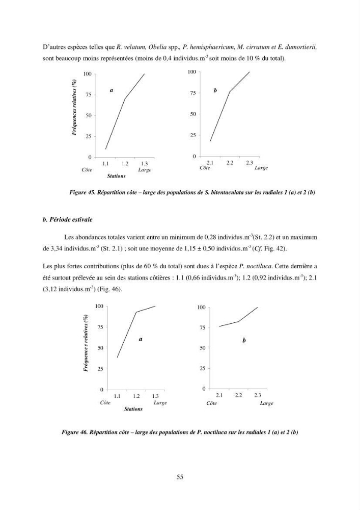Peuplement de meduses des côtes Algeriennes