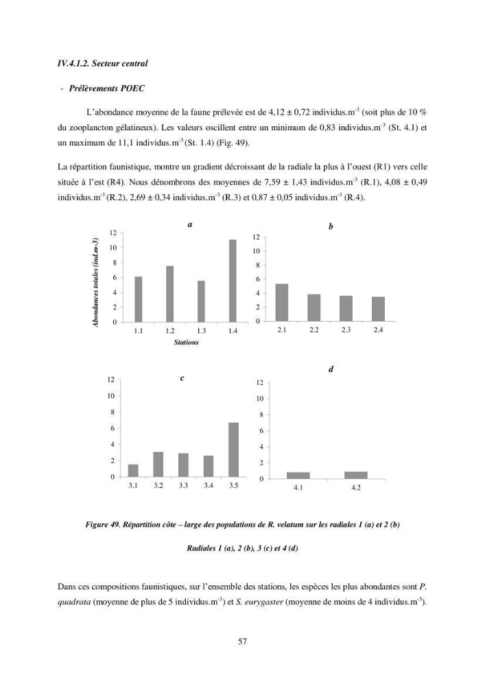 Peuplement de meduses des côtes Algeriennes
