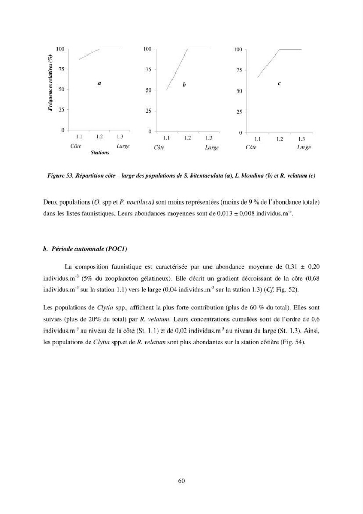 Peuplement de meduses des côtes Algeriennes