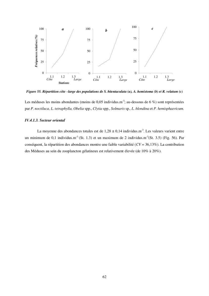 Peuplement de meduses des côtes Algeriennes