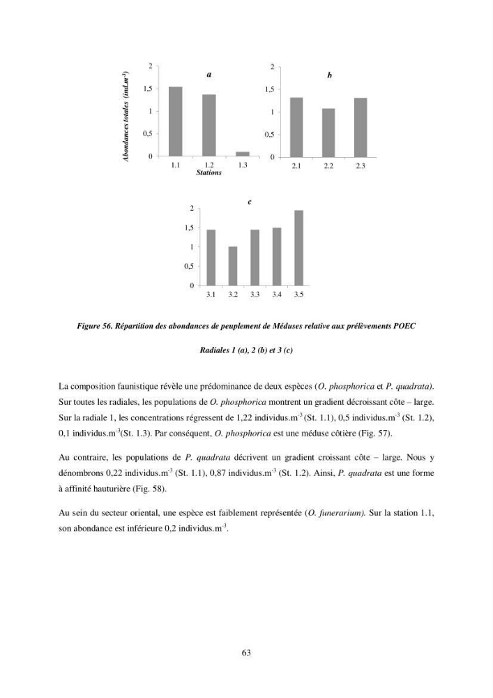 Peuplement de meduses des côtes Algeriennes