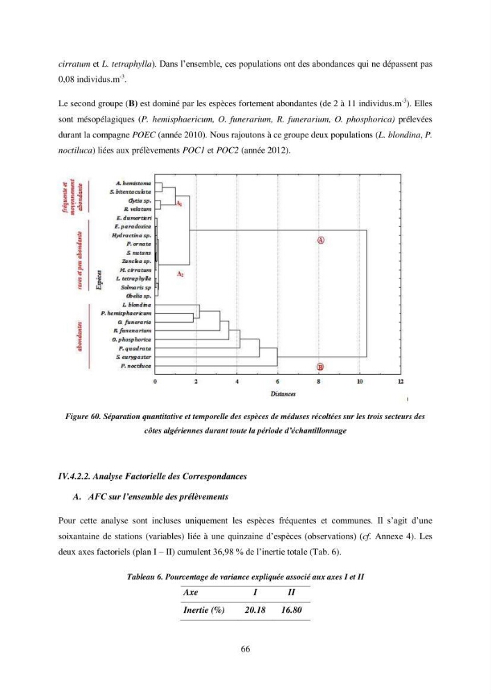 Peuplement de meduses des côtes Algeriennes