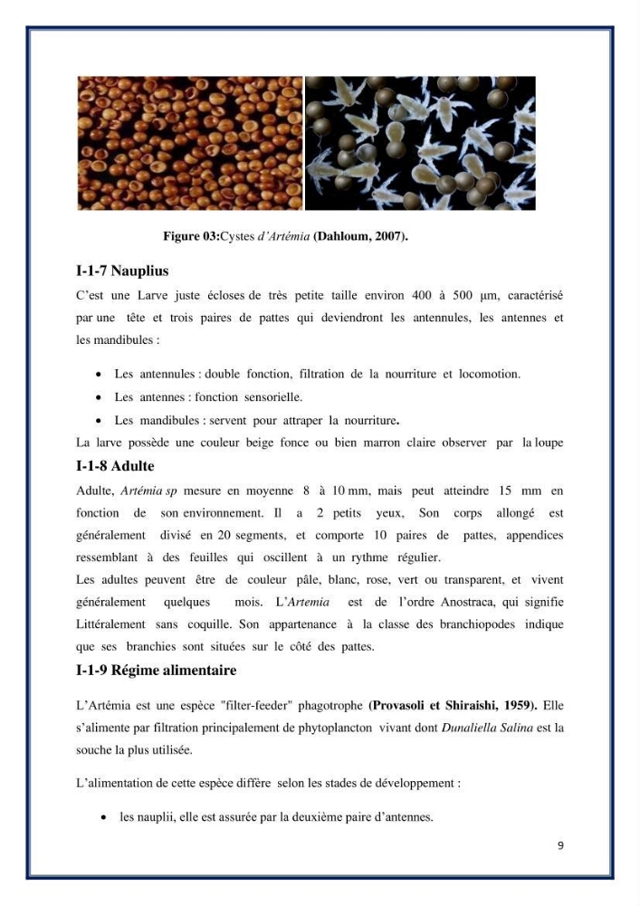 Application des souches à potentiel probiotique dans un élevage d’Artémie: