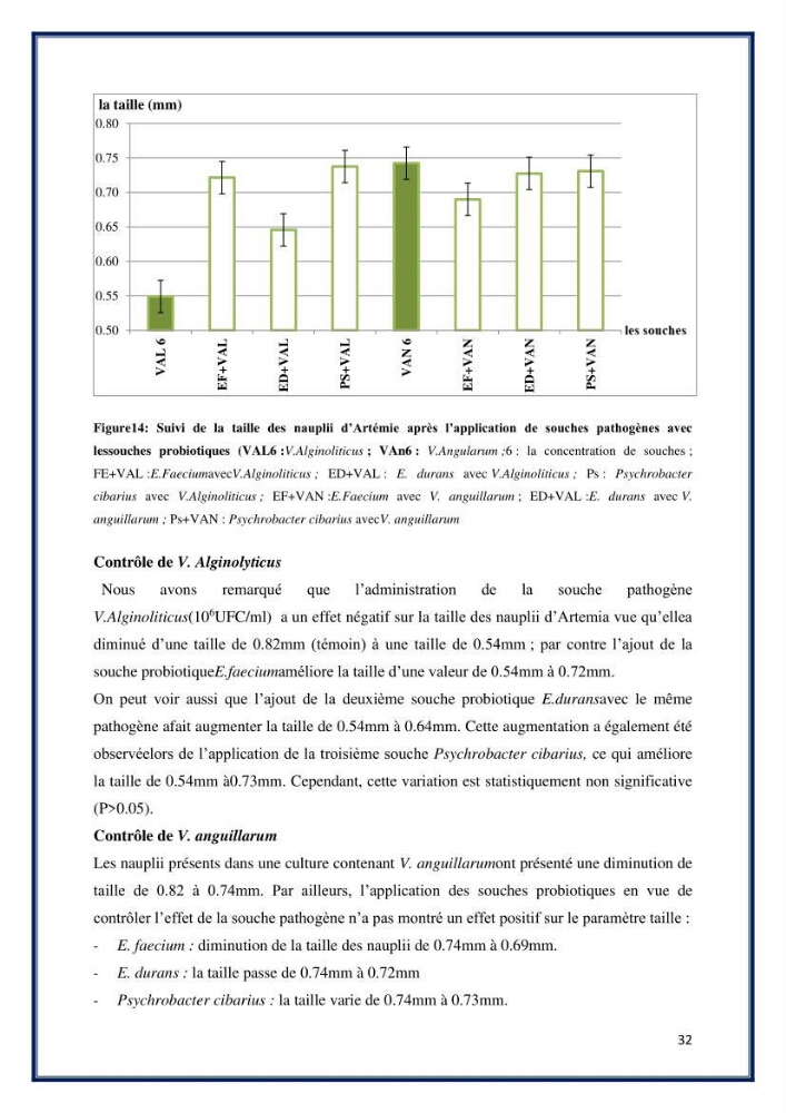 Application des souches à potentiel probiotique dans un élevage d’Artémie: