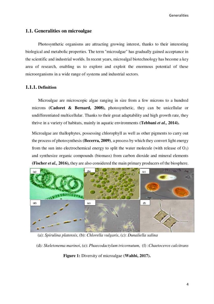 Application of microalgae in wastewater treatment