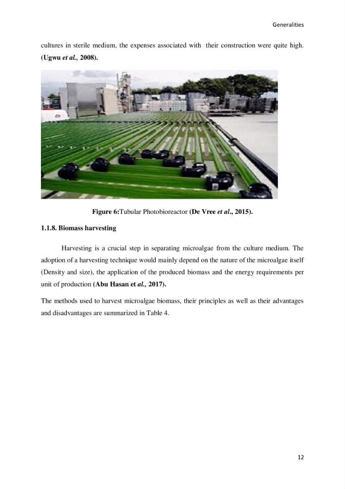 Application of microalgae in wastewater treatment