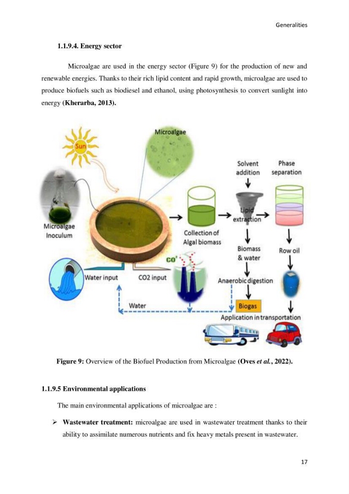 Application of microalgae in wastewater treatment