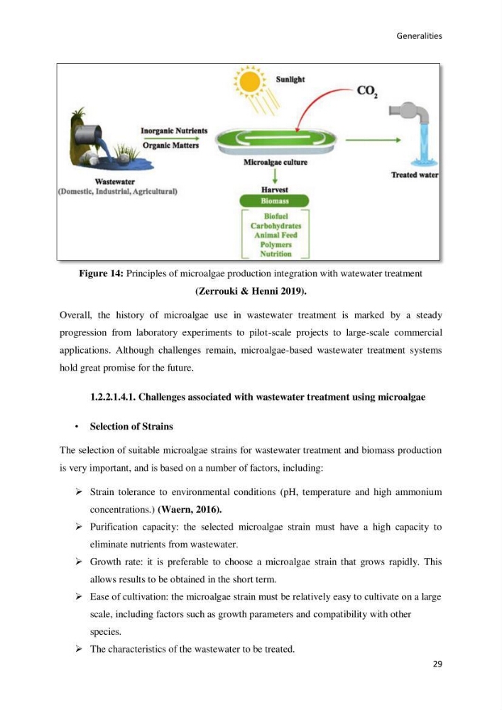 Application of microalgae in wastewater treatment