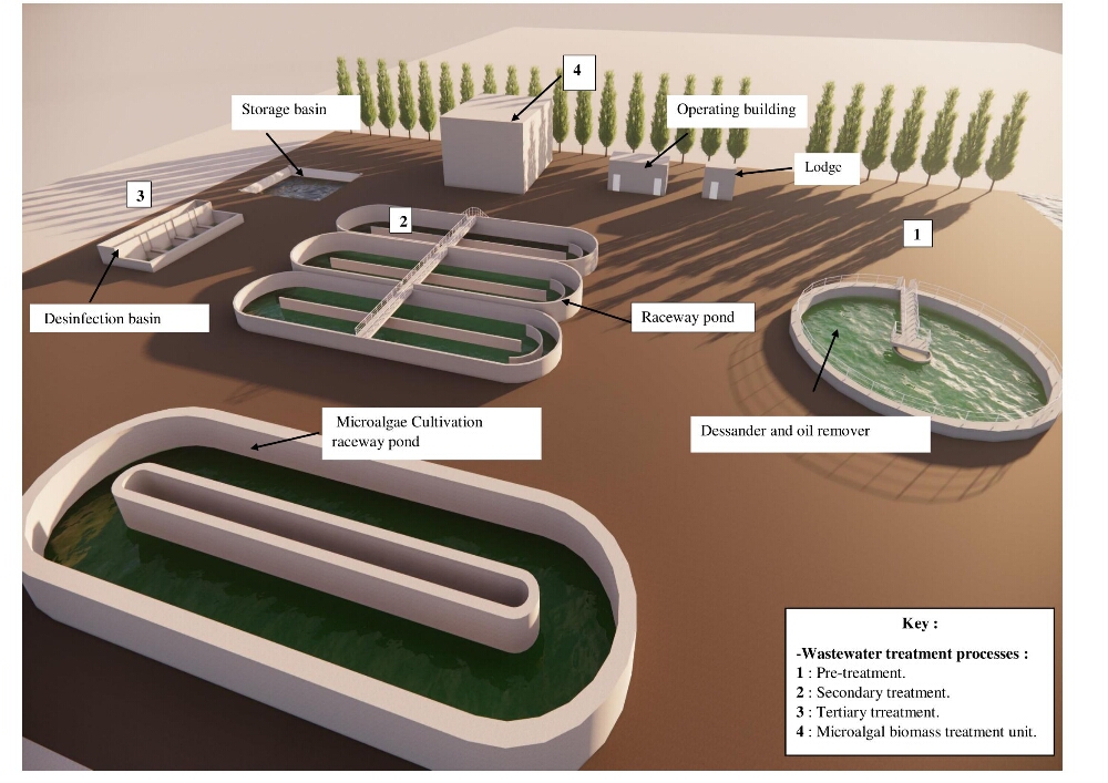 Application of microalgae in wastewater treatment