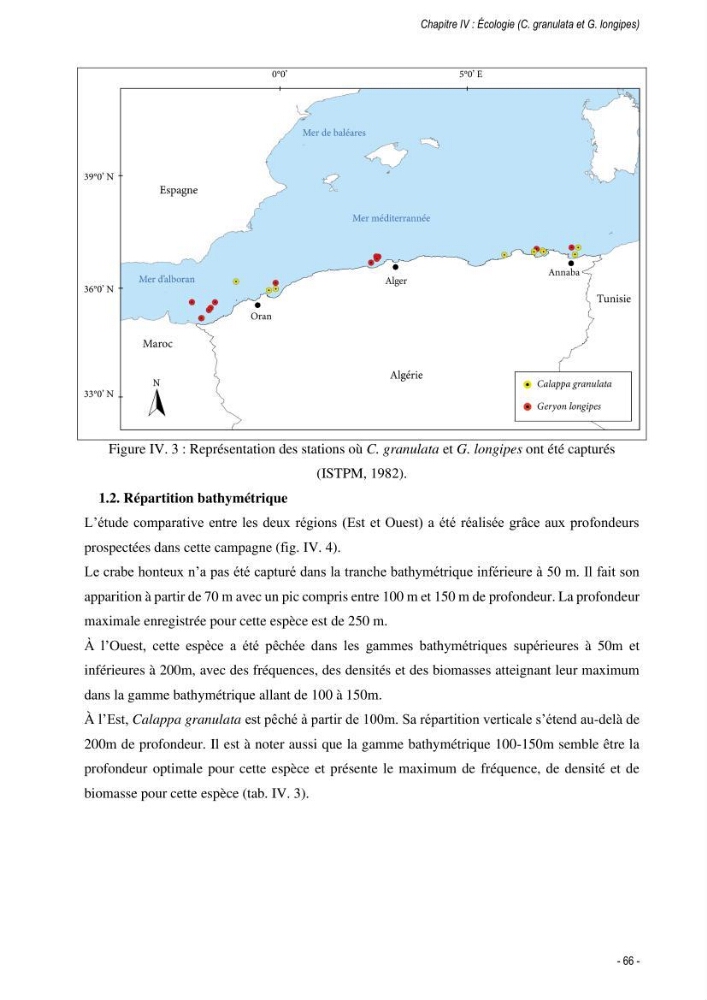 Les crabes chalutés dans le bassin algérien: systématique, Ecologie et Dynamique des populations exploitées