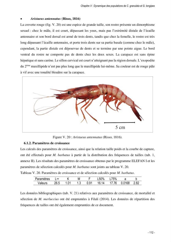 Les crabes chalutés dans le bassin algérien: systématique, Ecologie et Dynamique des populations exploitées