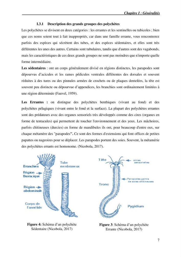 Inventaire de référence des polychètes de la côte algérienne composante de la base des données BANBIOM: