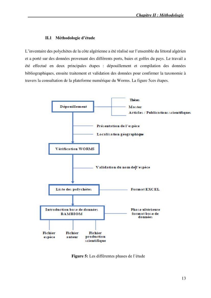Inventaire de référence des polychètes de la côte algérienne composante de la base des données BANBIOM: