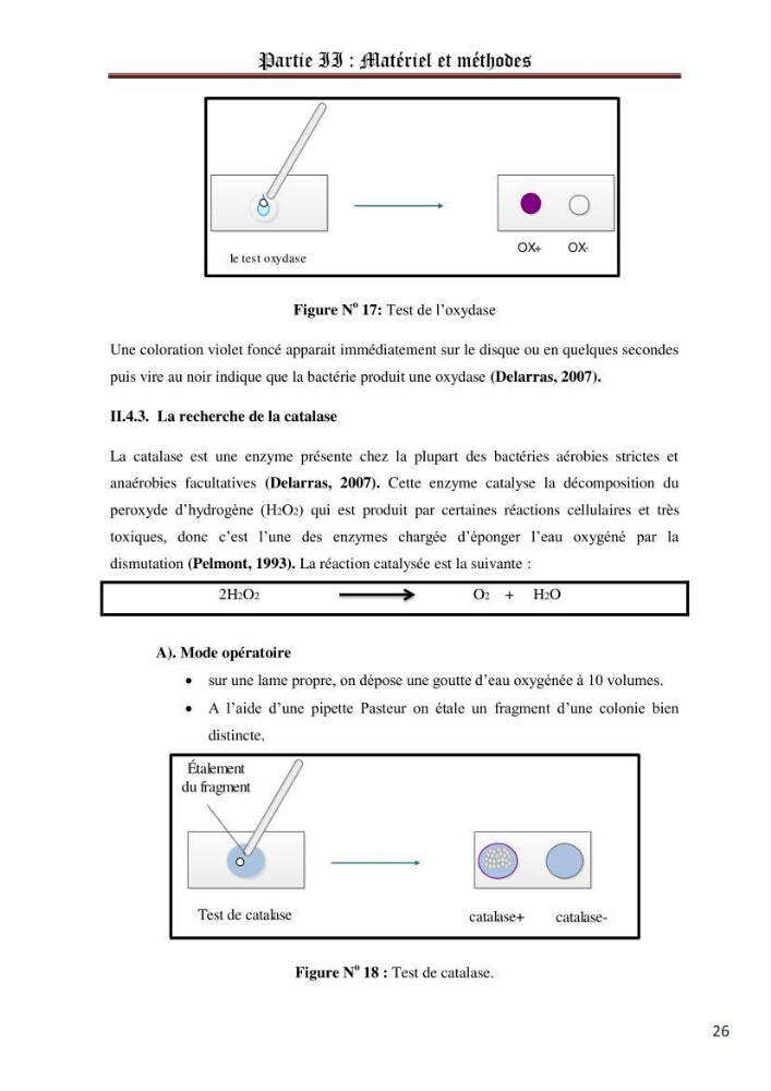 La recherche des entérocoques producteurs d\'histamine dans la chair du thon frais: