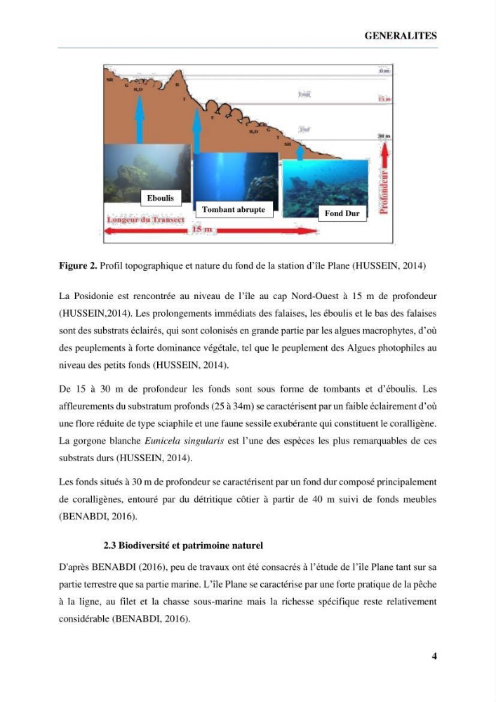 Inventaire des crustacés des milieux insulaires de l’Ouest Algérien: