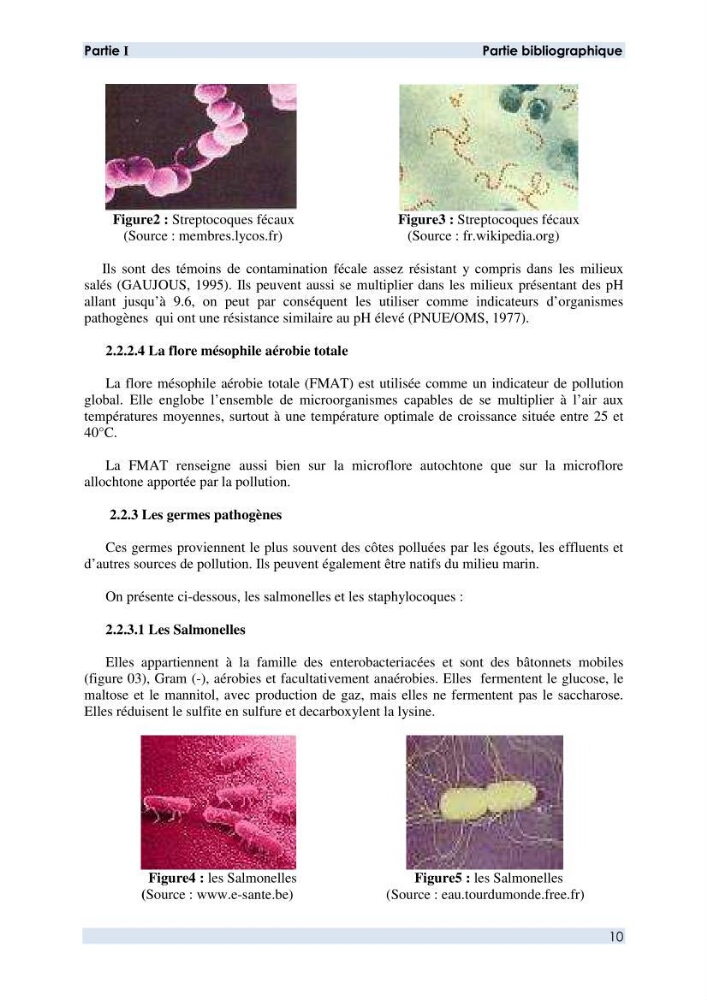 Contribution à l \'étude des paramètres physico-chimiques et bactériologiques de l\'embouchure de l\'oued \"Béni-Messous\":