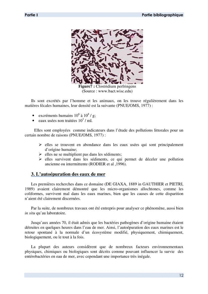 Contribution à l \'étude des paramètres physico-chimiques et bactériologiques de l\'embouchure de l\'oued \"Béni-Messous\":