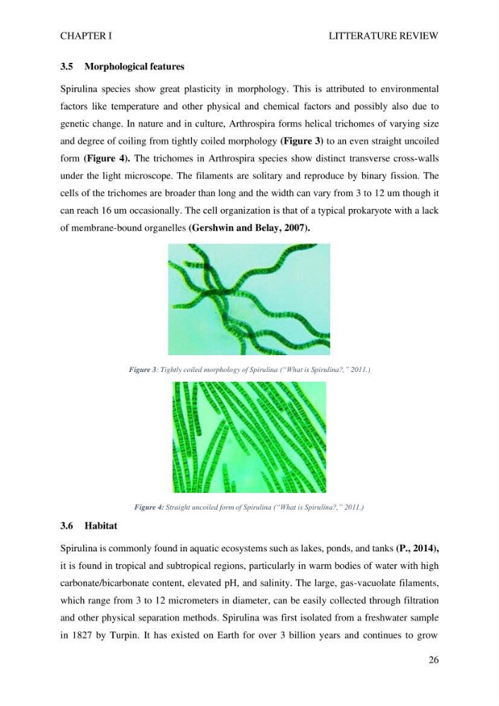 Exploring spirulina’s potential for bioplastic production
