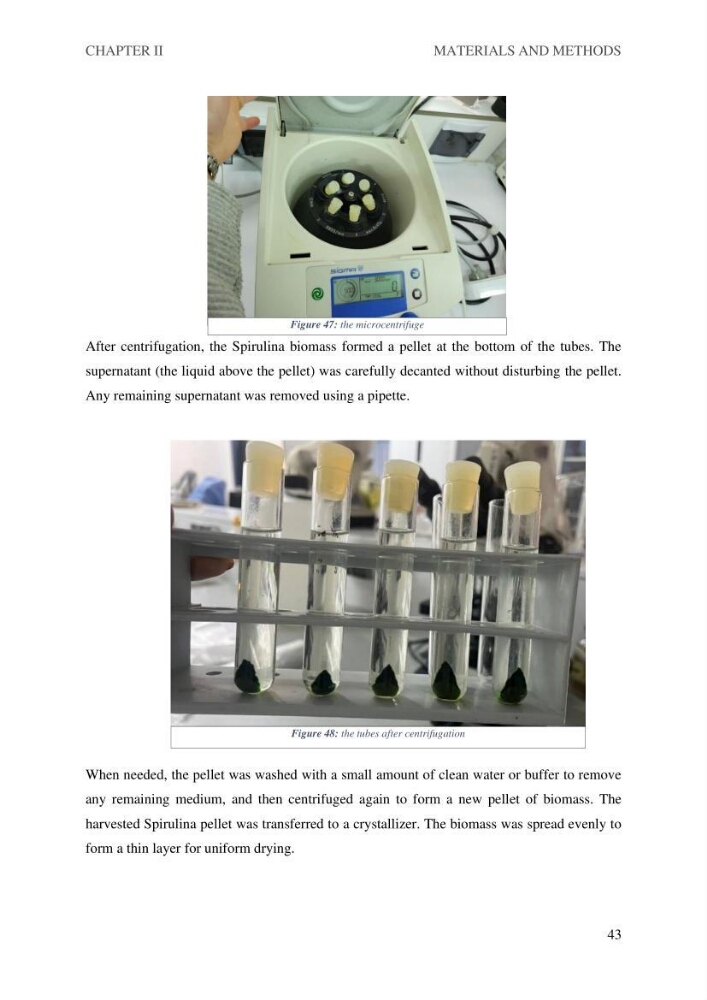 Exploring spirulina’s potential for bioplastic production