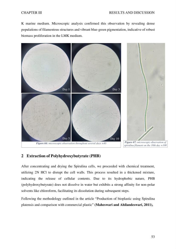 Exploring spirulina’s potential for bioplastic production