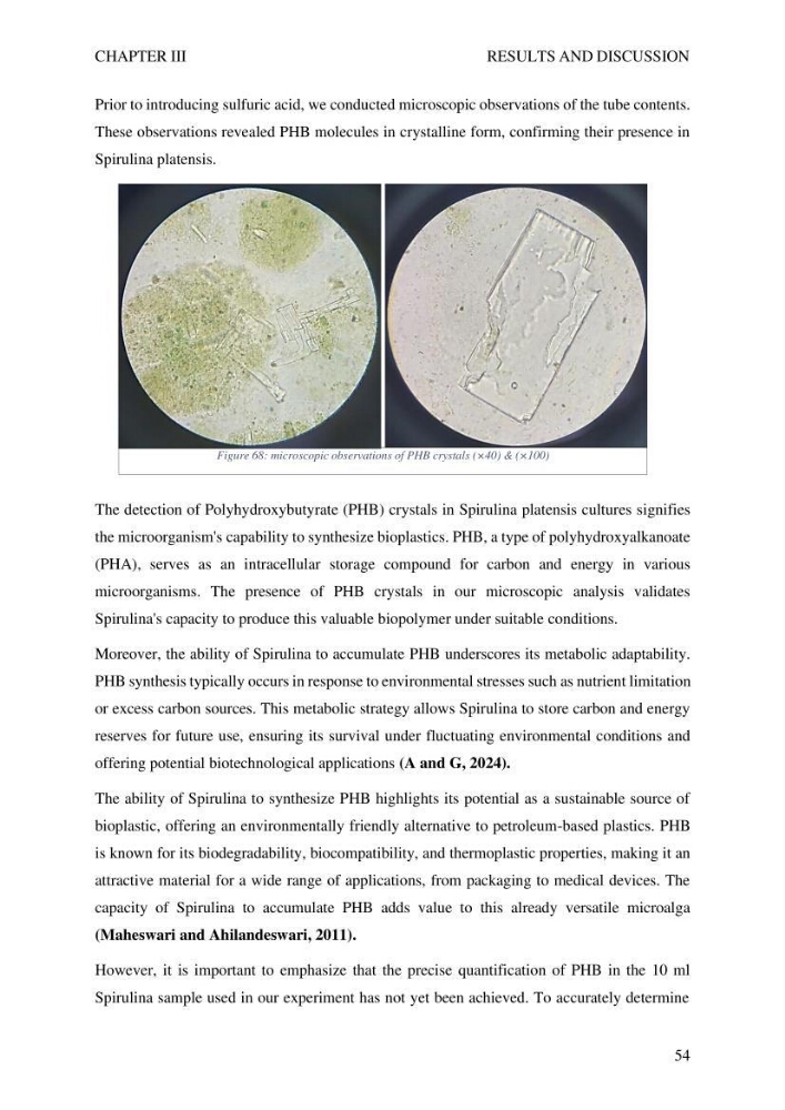 Exploring spirulina’s potential for bioplastic production