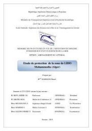 Etude de protection de la zone de LIDO Mohammedia (Alger):