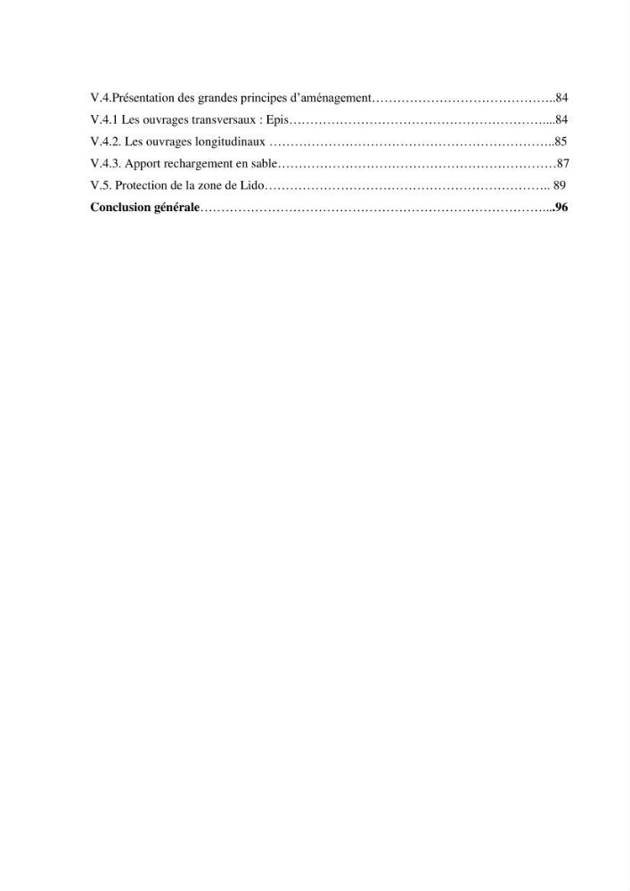 Etude de protection de la zone de LIDO Mohammedia (Alger):