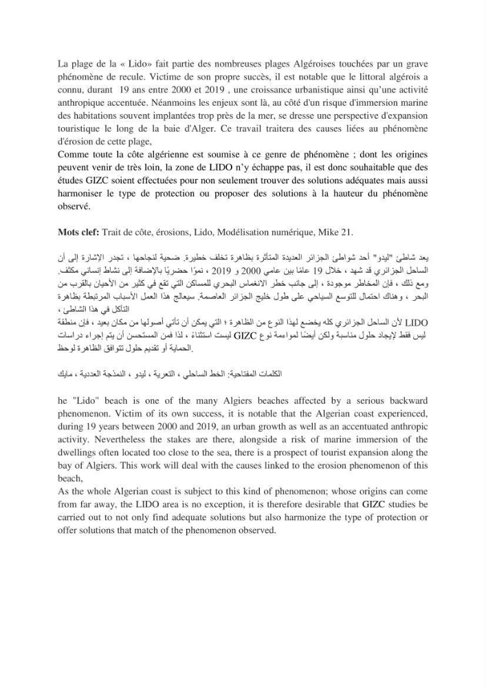 Etude de protection de la zone de LIDO Mohammedia (Alger):