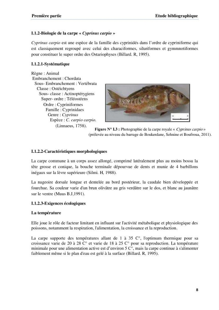 Extraction et identification des lipides à partir de la chair des poissons d\'élevage