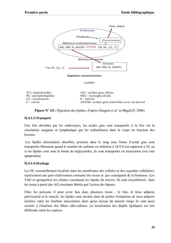 Extraction et identification des lipides à partir de la chair des poissons d\'élevage