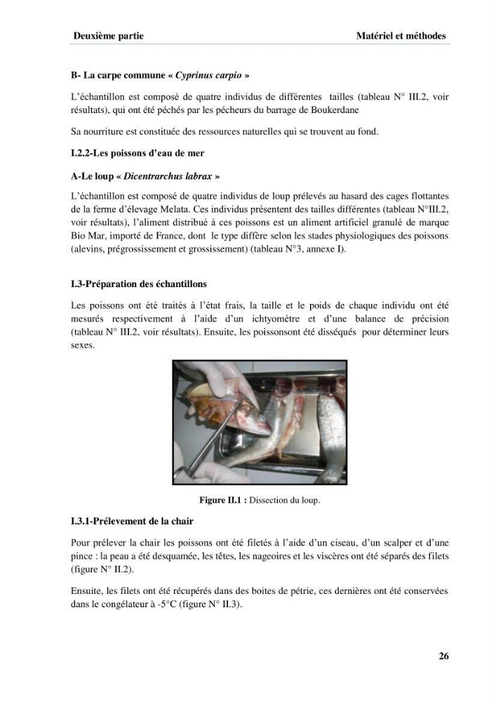 Extraction et identification des lipides à partir de la chair des poissons d\'élevage