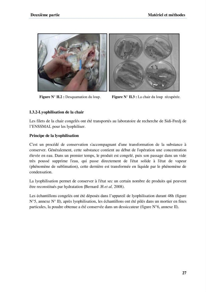 Extraction et identification des lipides à partir de la chair des poissons d\'élevage