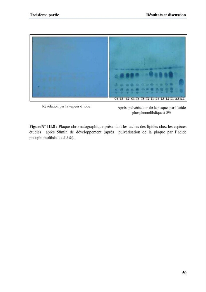Extraction et identification des lipides à partir de la chair des poissons d\'élevage