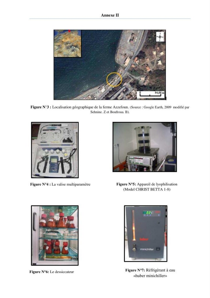Extraction et identification des lipides à partir de la chair des poissons d\'élevage