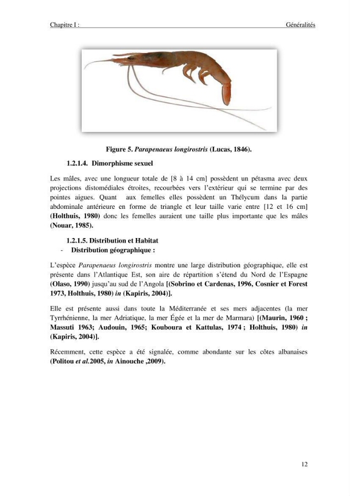 Contribution à l\'étude des crevettes (crustacés décapodes) de la baie de Bou-Ismail