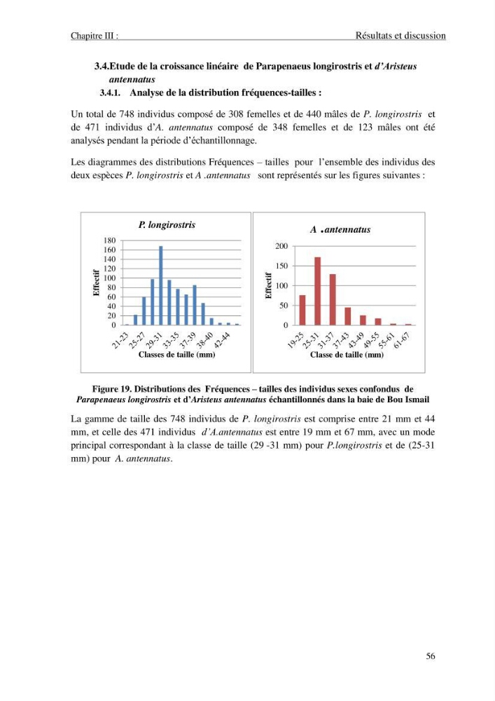 Contribution à l\'étude des crevettes (crustacés décapodes) de la baie de Bou-Ismail