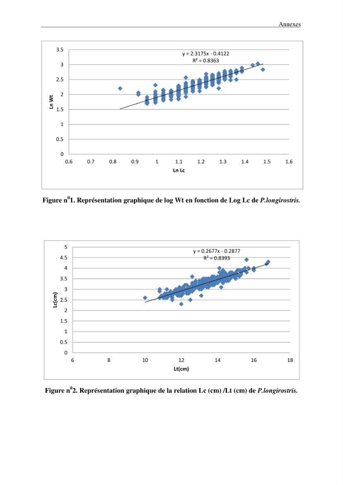Contribution à l\'étude des crevettes (crustacés décapodes) de la baie de Bou-Ismail