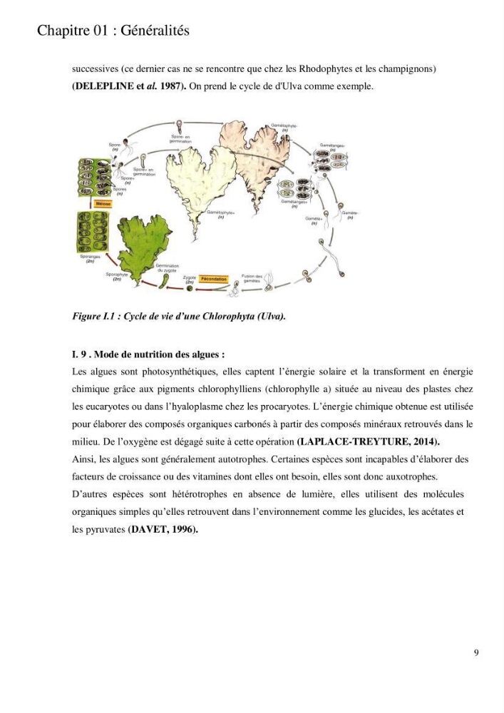 Etude de l\'extraction des composés phénoliques à partir de quelques espèces d\'algue marine