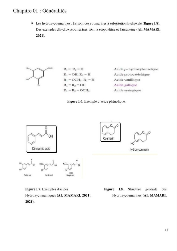 Etude de l\'extraction des composés phénoliques à partir de quelques espèces d\'algue marine