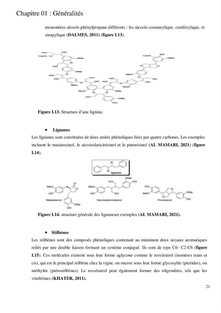 Etude de l\'extraction des composés phénoliques à partir de quelques espèces d\'algue marine