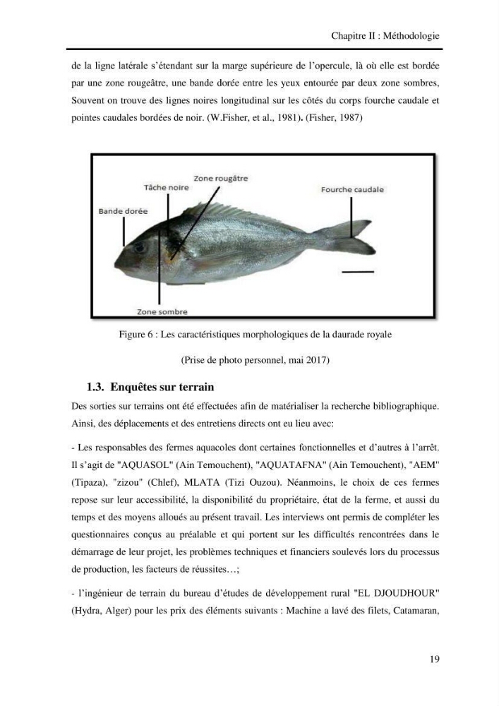 Etude de faisabilité technico-économique d’une ferme