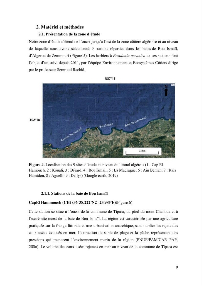 Variabilité de l\'abondance des cellules à TANIN chez Posidonia oceanica (Linnaeus) Delile 1813